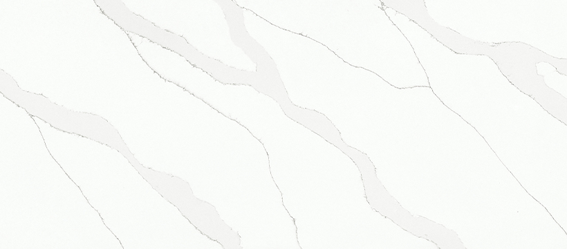 JS 29839 Large Floral White